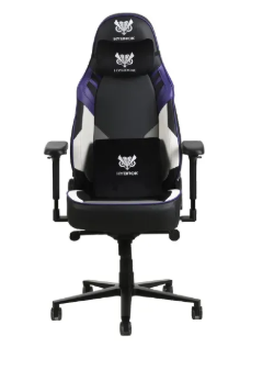 Chaise Gaming Ergonomique 4D Inclinable Hybrok AUGENSTERN