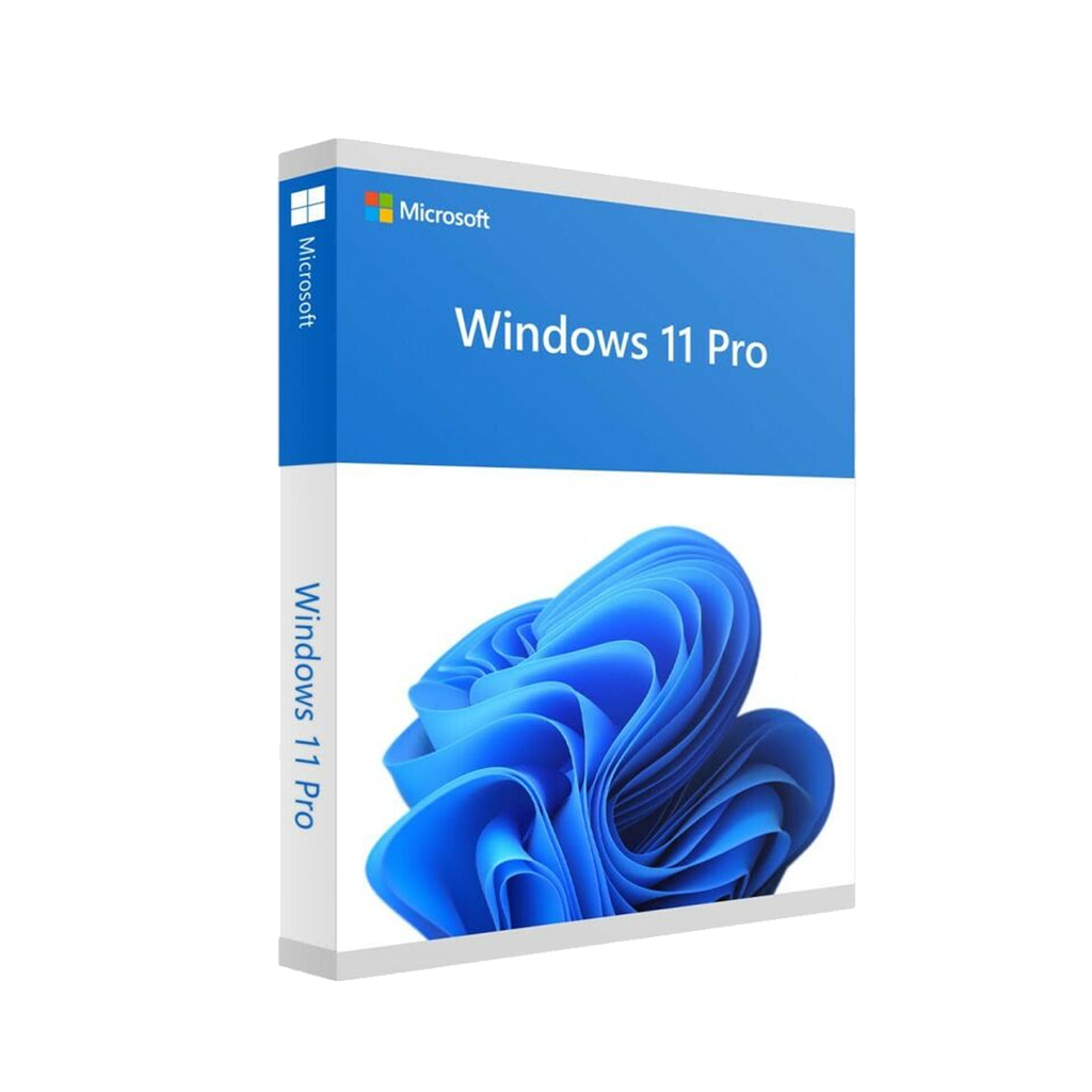 Windows 11 Pro 64Bit DSP OEI