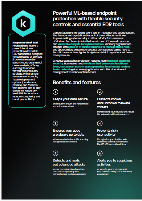 Kaspersky Next EDR Foundations – Solution de sécurité des terminaux pour entreprises photo 2
