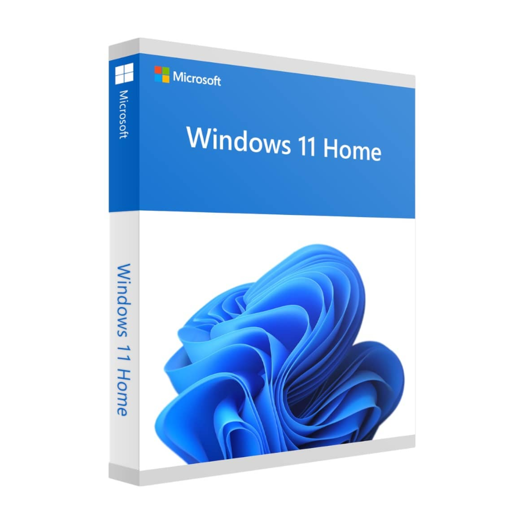 Microsoft Windows 11 Famille 64 bits – Français – DSP OEI DVD photo 2