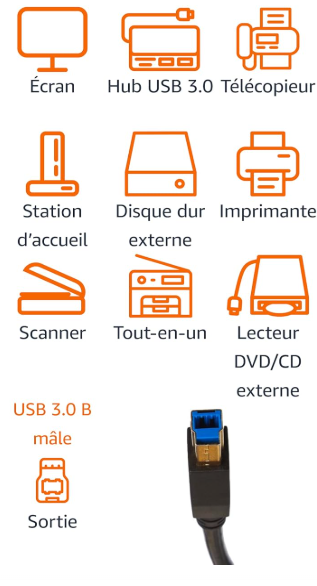 Câble HP USB 3.0 Type A vers Type B (Mâle/Mâle) – 1.8 m photo 2